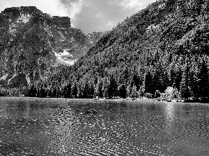 lake, Mountains, Lago di Carezza, Italy, church, woods