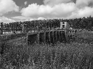 River, Flowers, dike, forest