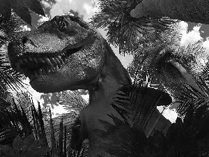 dinosaur, Teeth, Palms