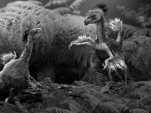 fern, feathered, dinosaurs, little doggies