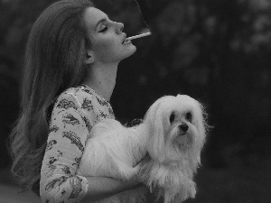 Lhasa Apso, Lana Del Rey, dog