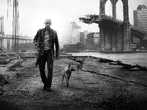 Will Smith, Nowy York, dog, damaged