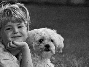 Shih Tzu, girl, doggy