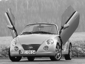 Lambo, Daihatsu Copen, Doors