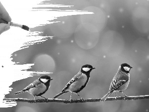 Chickadees, painting, Drawing, brush