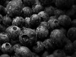 drops, water, bilberry, American, blueberries