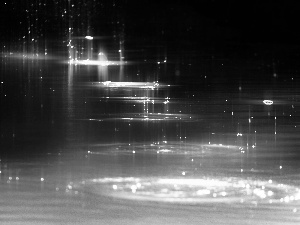 drops, shiny, water