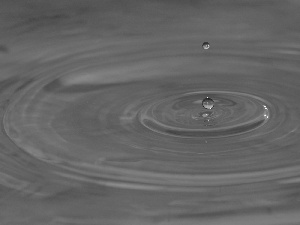 drops, Violet, water