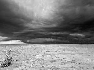 Lod on the beach, Desert, dry