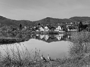 woods, Town, Germany, Mountains, River, ducks, autumn