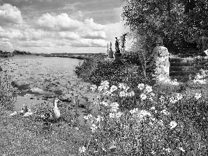 Park, Flowers, ducks, River