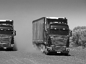 truck, Way, dust, Scania