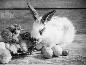 basket, Easter, chickens, eggs, Rabbit