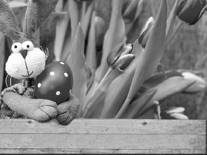 rabbit, Tulips, Easter, egg