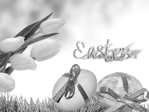 Tulips, eggs, Easter, text