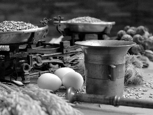 eggs, mortar, seed, weight, cereals