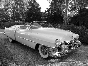 The historic car, Cabriolet, Cadillac Eldorado, White