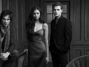 The Vampire Diaries, Damon, Elena, Stefan