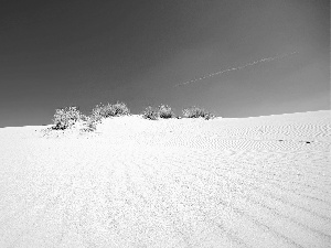 Desert, Bushes, embers, Sand