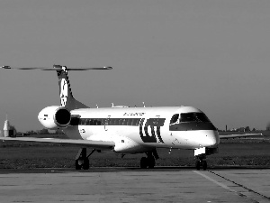 Embraer 145, flight