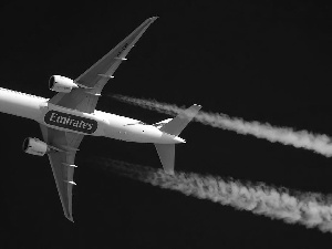plane, Emirates