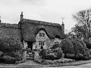 country, Cornwall, England, house