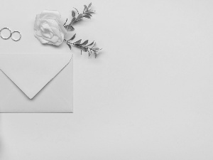 rings, envelope, Flowers, roses, marriage