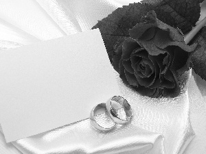 envelope, rose, rings