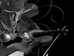 envelope, violin, roses