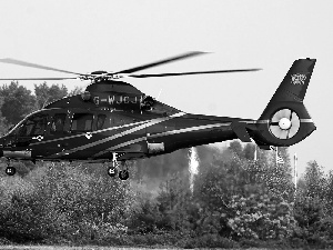 Eurocopter EC-155 B1