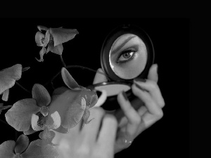 orchids, powder-box, eye, hands