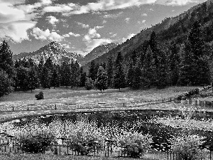 Mountains, trees, eye, water, clouds, viewes