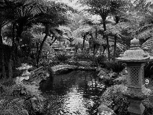 eye, water, bridges, Plants, Garden