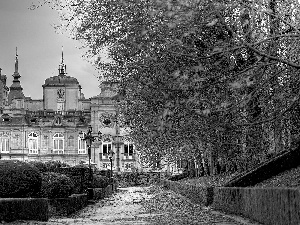 fallen, Leaf, palace, Park, autumn