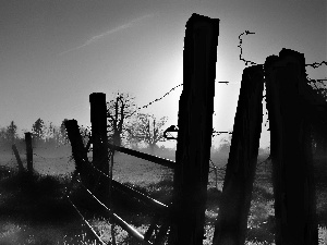 Fog, viewes, rays, Meadow, trees, Fance, sun