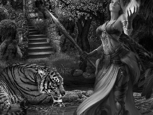 fantasy, Women, tiger