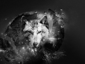 Wolf, fantasy