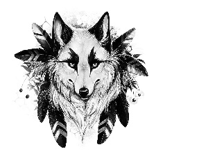 feather, Head, Wolf