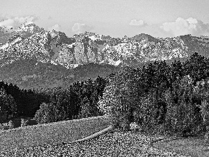 beatyfull, woods, field, Mountains