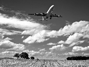 field, plane, clouds