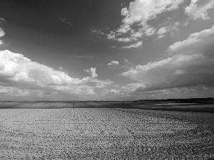 Field, Sky, clouds