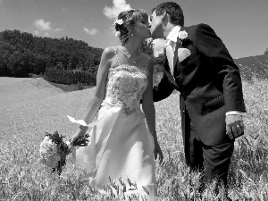 Field, corn, young, marriage, Steam