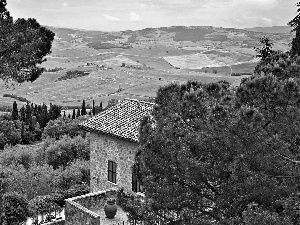 The Hills, Garden, medows, pine, house, field, Tuscany