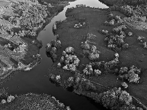 flight, View, field, River, bird, DBZ