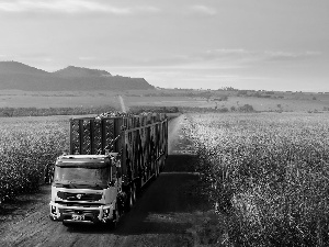 lorry, Way, Field, Volvo cars