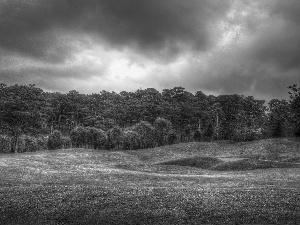 Field, clouds, woods