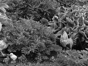 figures, Garden, chicken, rooster, Peonies