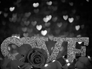 text, hearts, flakes, roses