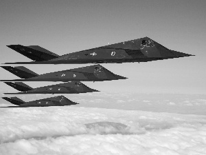 F 117 Nighthawk, fleet