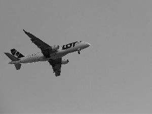 flight, plane, passenger